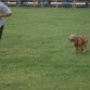 Caio corriendo en la cancha